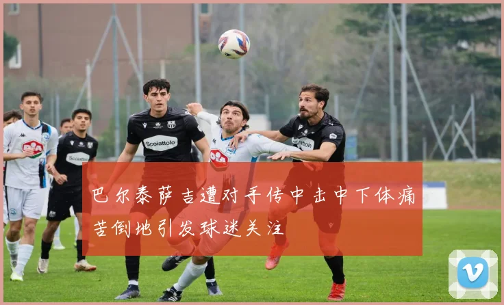 巴尔泰萨吉遭对手传中击中下体痛苦倒地引发球迷关注