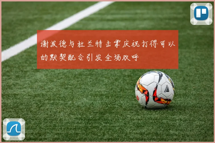 谢泼德与杜兰特击掌庆祝打得可以的默契配合引发全场欢呼