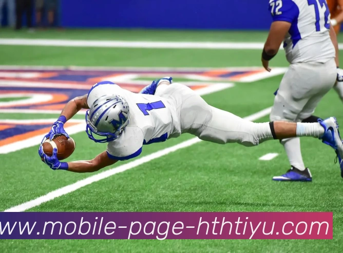 华体会体育APP 封面图